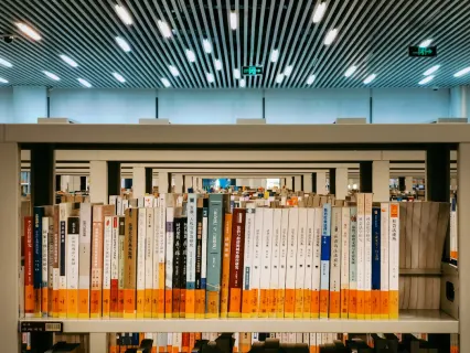 Slottio Casino Mobil App